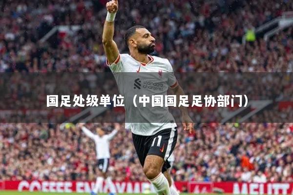 国足处级单位（中国国足足协部门）