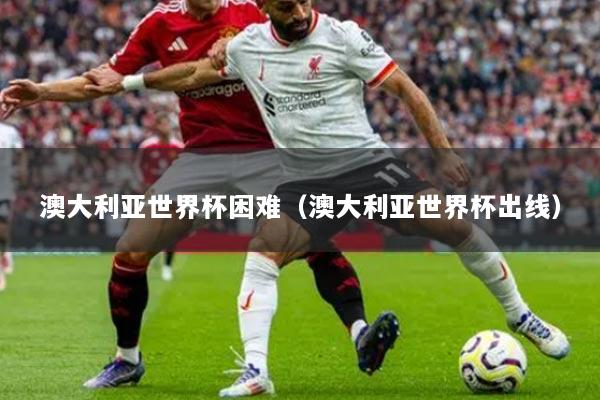 澳大利亚世界杯困难（澳大利亚世界杯出线）