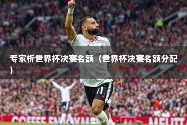 专家析世界杯决赛名额(世界杯决赛名额分配)