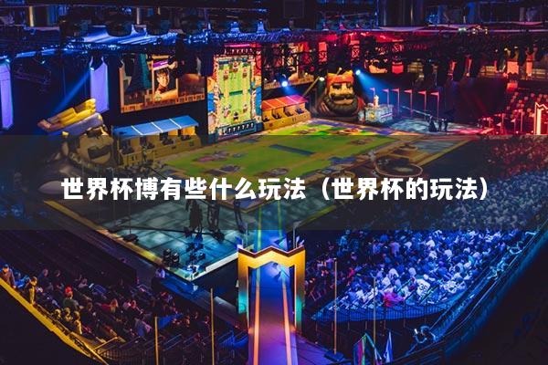 世界杯博有些什么玩法（世界杯的玩法）