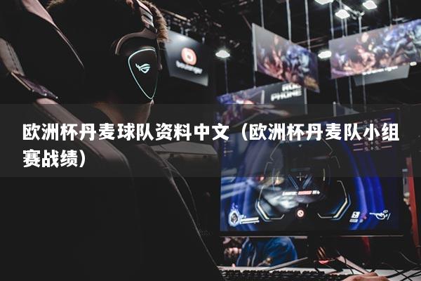 欧洲杯丹麦球队资料中文（欧洲杯丹麦队小组赛战绩）