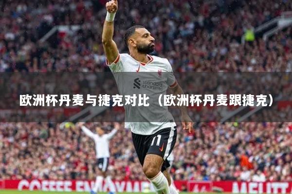 欧洲杯丹麦与捷克对比（欧洲杯丹麦跟捷克）