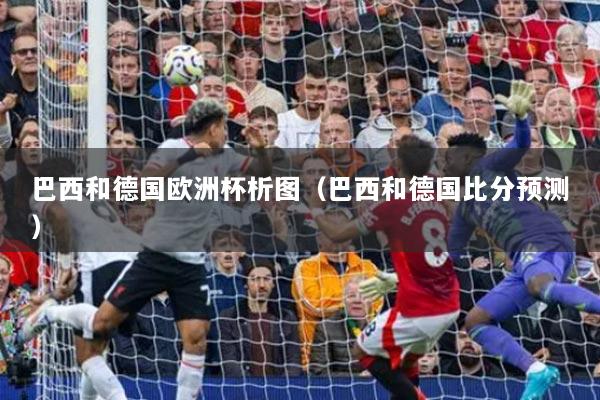 巴西和德国欧洲杯析图（巴西和德国比分预测）