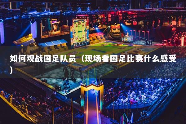 如何观战国足队员（现场看国足比赛什么感受）