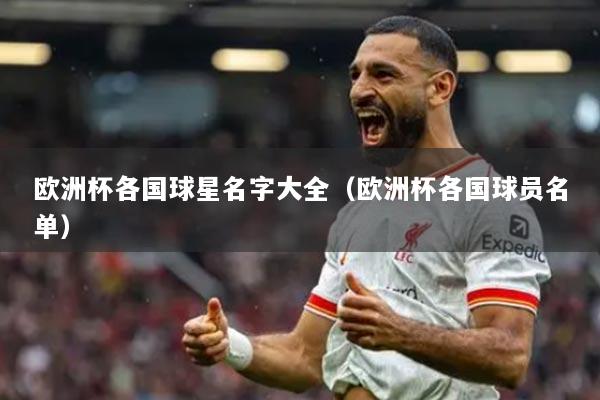 欧洲杯各国球星名字大全（欧洲杯各国球员名单）