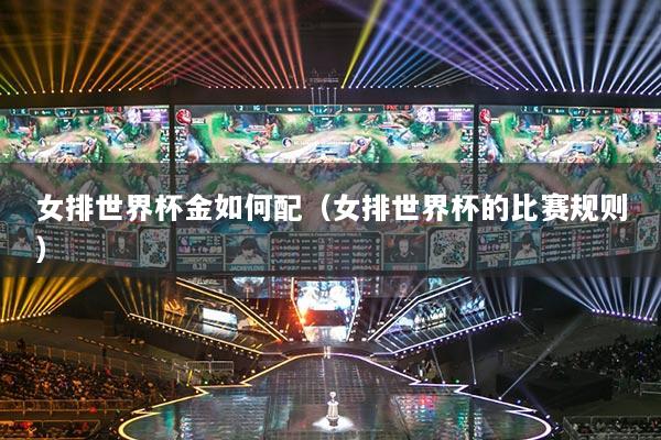 女排世界杯金如何配（女排世界杯的比赛规则）