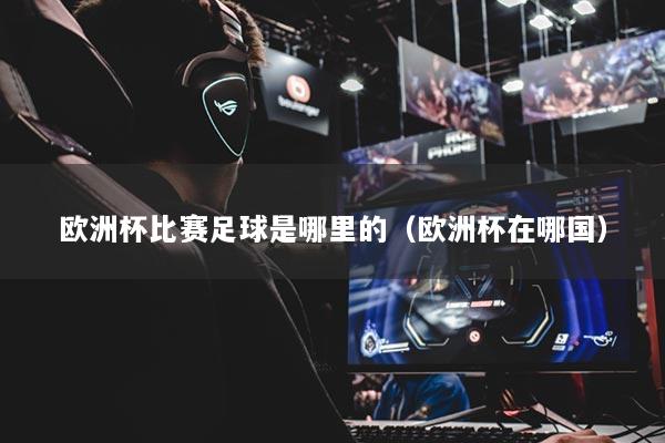 欧洲杯比赛足球是哪里的（欧洲杯在哪国）