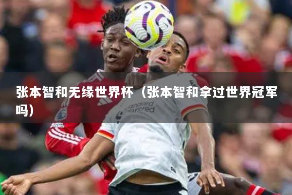 张本智和无缘世界杯（张本智和拿过世界冠军吗）