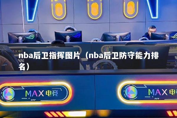 nba后卫指挥图片（nba后卫防守能力排名）