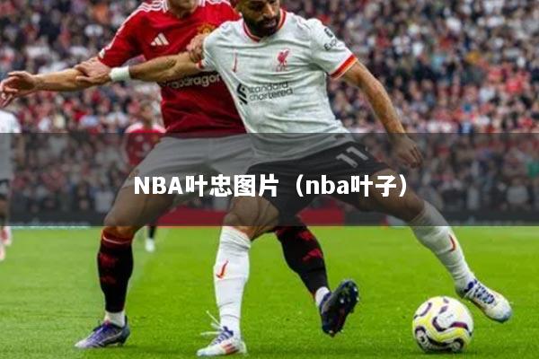 NBA叶忠图片（nba叶子）