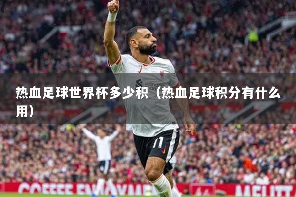 热血足球世界杯多少积（热血足球积分有什么用）
